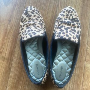 Birdies - The Starling (Cheetah)